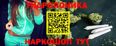 индика Аргун